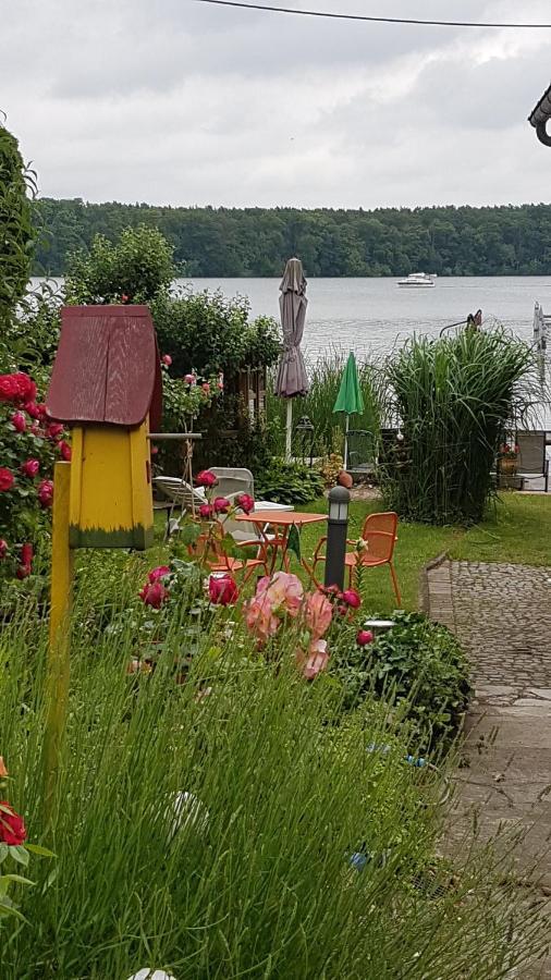 Zeuthen Ferienwohnung Am See, Stadtgrenze Berlin Ngoại thất bức ảnh